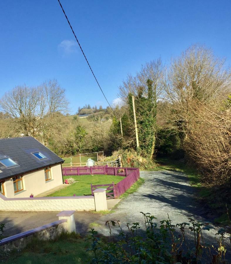 Killarney Saoirse Cottage Buitenkant foto